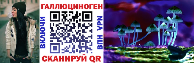Псилоцибиновые грибы прущие грибы  Купить закладки  Агидель 